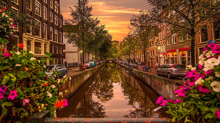 voie navigable, canal, reflet, amsterdam, pays bas, fleur, europe, ville, soirée, arbre, attraction touristique, rue, Fond d'écran HD