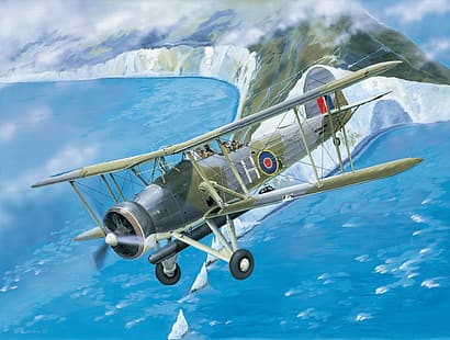  World War II, aircraft, airplane, war, military aircraft, military, Royal Navy, Torpedo bomber, Fairey Swordfish, UK, biplane, Boxart, HD wallpaper HD wallpaper