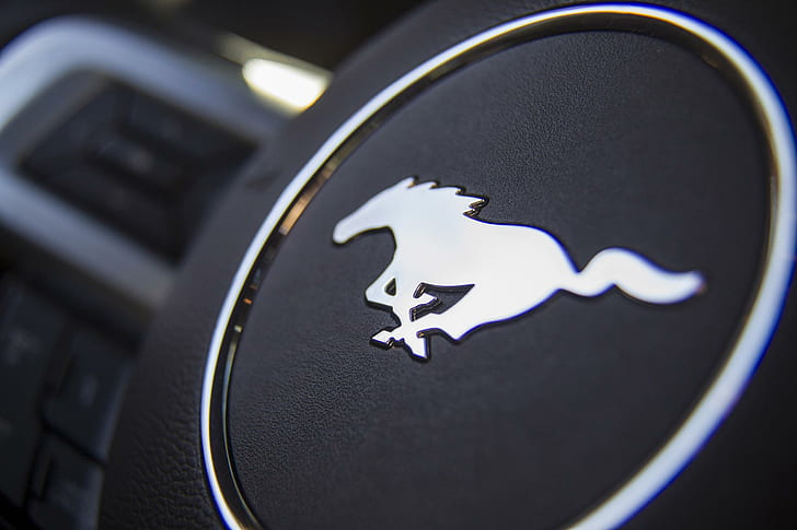 Ford Mustang 50 Yıllık Sınırlı Üretim, 2015 ford, araba, HD masaüstü duvar kağıdı