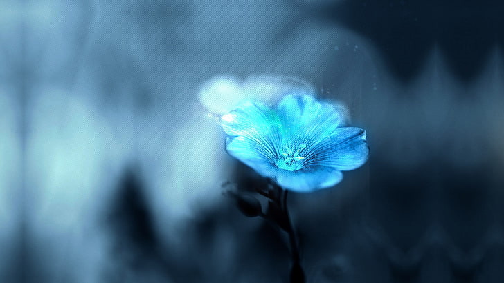 blue petaled flower illustration, flowers, blurred, blue, plants, HD wallpaper