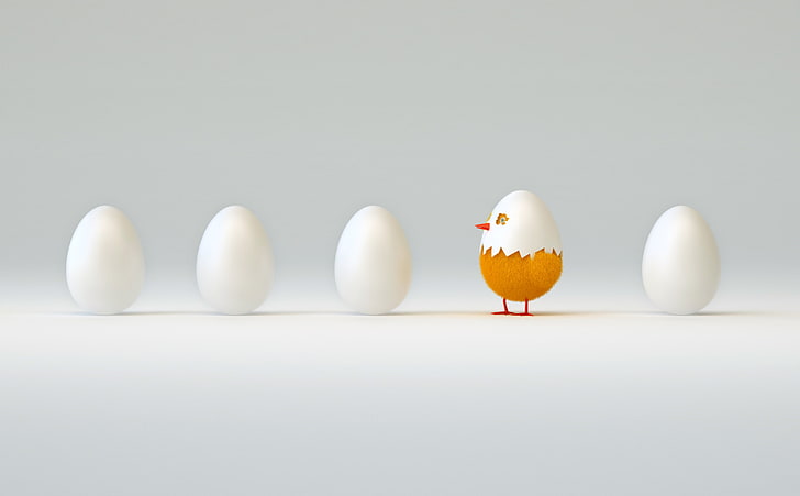 abstraction, the world, art, chicken, looks, waiting for, five, eggs, first, hatched, wallpaper., from the shell, from the egg, the rest, out, HD wallpaper