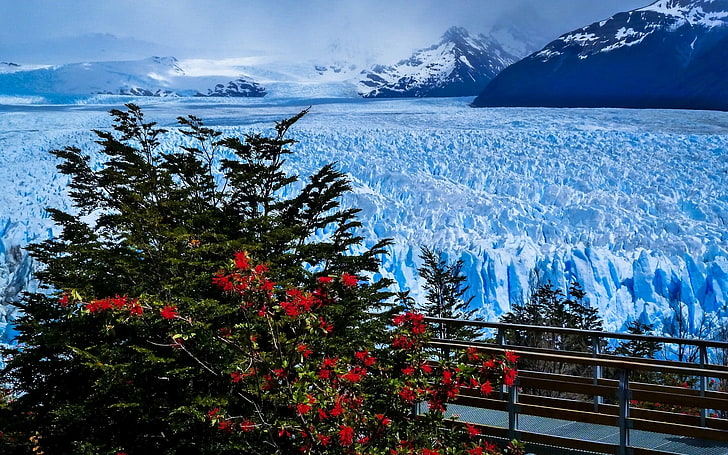 mountains, bridge, glacier, Argentina, Andes, Patagonia, Perito Moreno Glacier, Santa Cruz Province, the Perito Moreno glacier, HD wallpaper