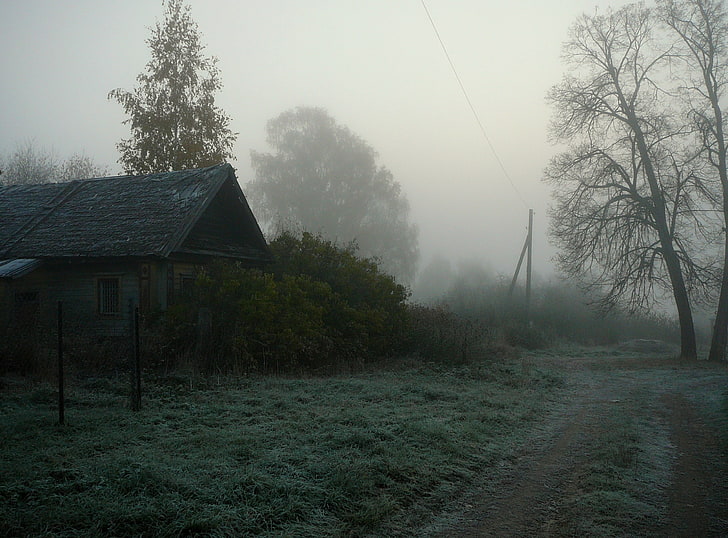 Мъгливо село, зелен храст, сезони, есен, село, мъгливо, HD тапет
