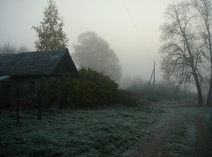Nebbioso villaggio, cespuglio verde, stagioni, autunno, villaggio, nebbioso, Sfondo HD HD wallpaper