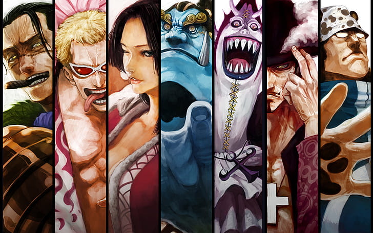 Anime, One Piece, Bartholomew Kuma, Boa Hancock, Crocodile (One Piece), Donquixote Doflamingo, Dracule Mihawk, Gekko Moriah, Jinbe (One Piece), Shichibukai (One Piece), Sfondo HD