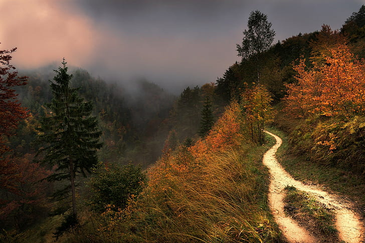 гора, пейзаж, пътека, червени листа, есен, HD тапет