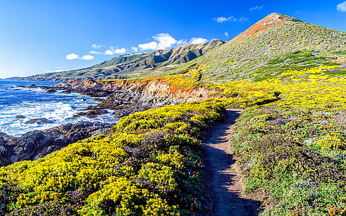Пейзаж, Биг-Сур, Калифорния, горы, морской пейзаж, шоссе Тихоокеанского побережья, 4K, HD обои HD wallpaper