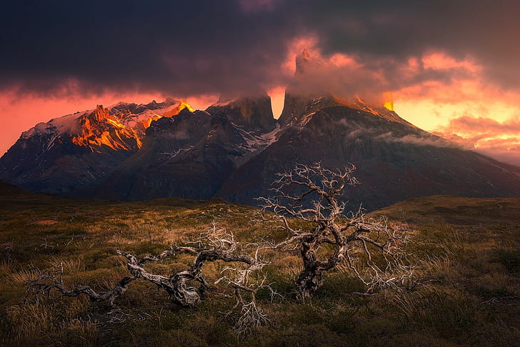 bergsolnedgång torres del paine patagonia chile döda träd moln gräs snöig topp naturlandskap, HD tapet