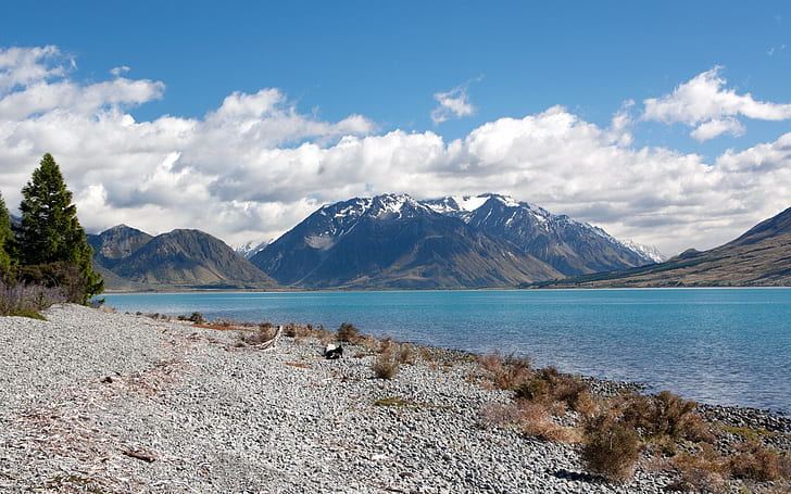 Реки Новой Зеландии, Река, Новая, Зеландия, HD обои