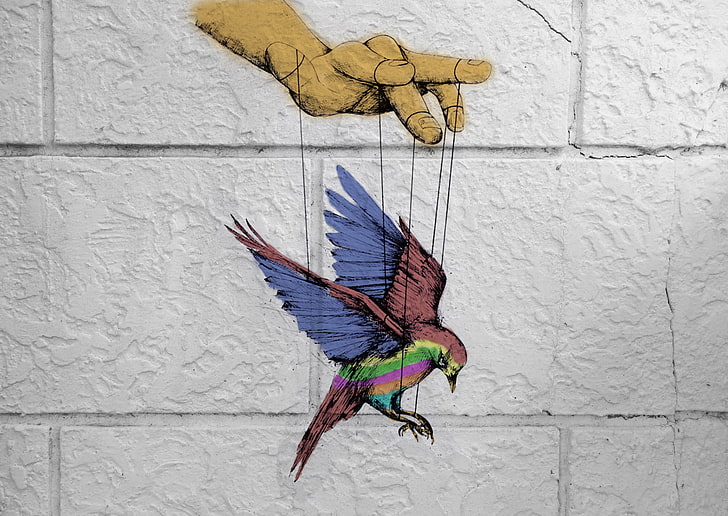 burung, berwarna-warni, boneka, kebebasan, Wallpaper HD