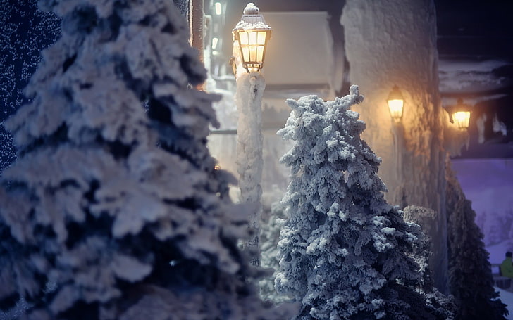 눈 덮인 소나무, 겨울, HD 배경 화면