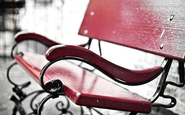 bench, selective coloring, depth of field, HD wallpaper