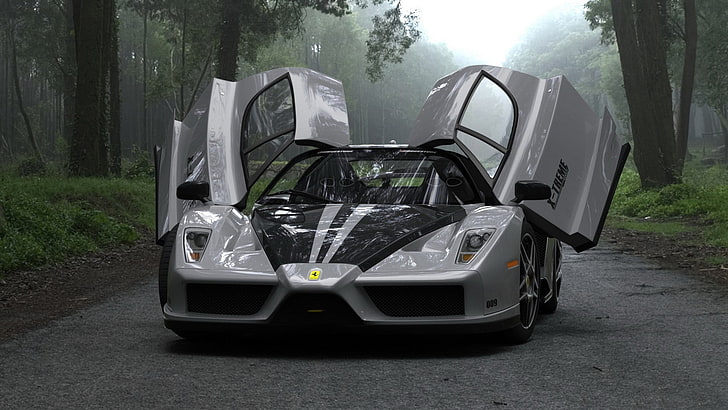 grauer und schwarzer Sportwagen, Ferrari, Supersportwagen, Auto, Enzo Ferrari, Fahrzeug, HD-Hintergrundbild