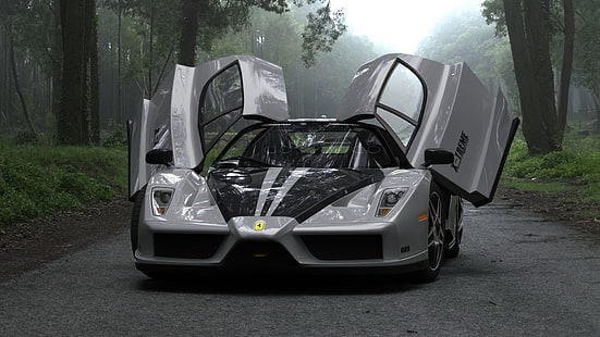 coche deportivo gris y negro, Ferrari, supercoches, coche, Enzo Ferrari, vehículo, Fondo de pantalla HD HD wallpaper