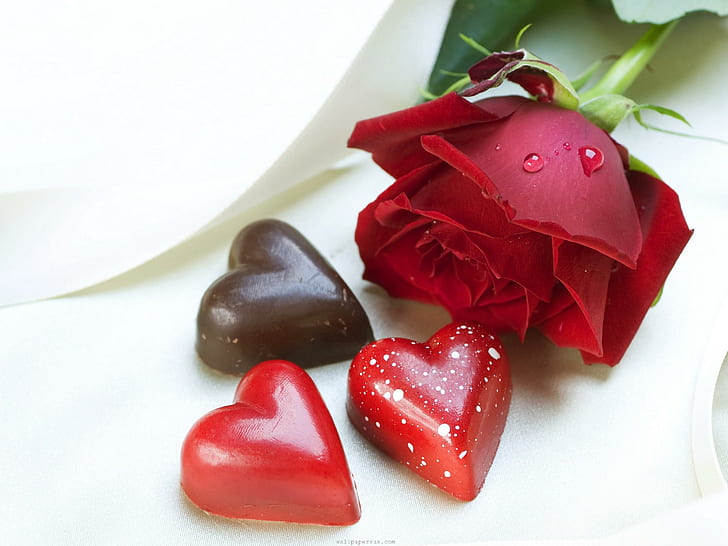 Красная роза Красота Цветы Сердце Ницца Валентина, красная роза и 3 шоколадных сердца, любовь, день святого валентина, валентина, валентинка 2014, роза, цветы, сердце, HD обои