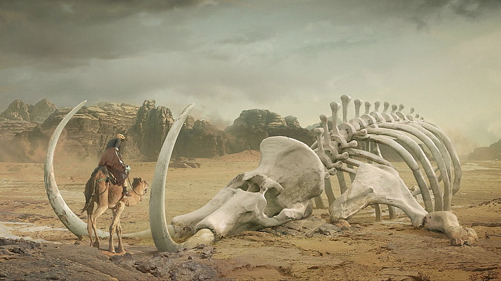vit dinosaurie skalle, digital konst, öken, skelett, mammuter, kameler, män, ben, sten, djur, HD tapet