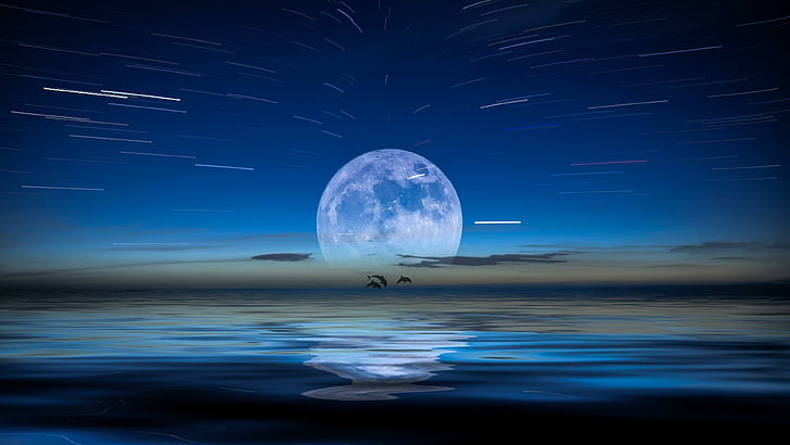 pleine lune, dauphins, clair de lune, lune, ciel nocturne, nuit, reflet, art fantastique, pays des rêves, paysage fantastique, bleu, mer, eau, ciel, Fond d'écran HD