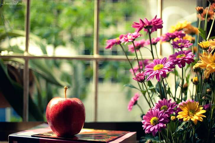 Red apple, flowers, yellow, background, pink, red, widescreen, Wallpaper, HD  wallpaper | Wallpaperbetter