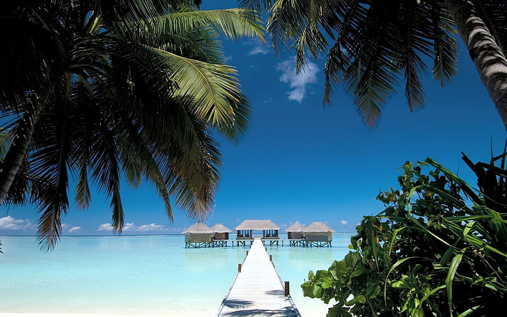 пляж, синий, кабина, пейзаж, Мальдивы, природа, пальмы, море, небо, лето, тропический, дорожка, вода, HD обои