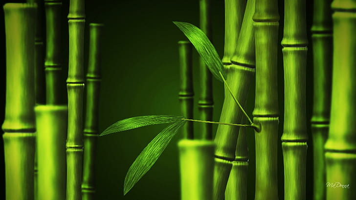 Bamboo So Green, бамбуковое растение, деревья, лес, восточный, листья, бамбук, зелень, природа и пейзажи, HD обои