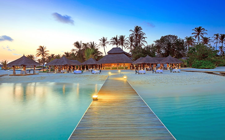 bacino di legno marrone, Maldive, bacino, isola, spiaggia, palme, Sfondo HD