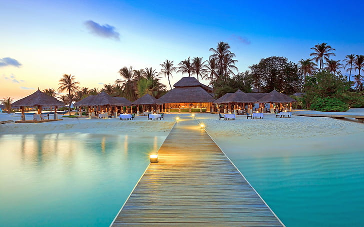 palmiers, Maldives, plage, quai, île, Fond d'écran HD