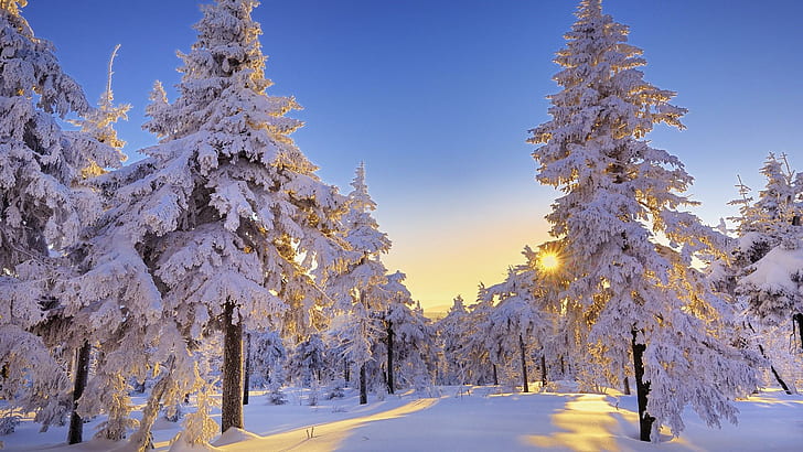 Зима в Германии, удивительный зимний пейзаж, удивительная зима, голубая зима, зимний пейзаж, зимняя красота, зима в зародыше, HD обои