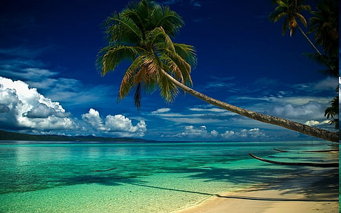 طبيعة المناظر الطبيعية شاطئ النخيل أشجار الغيوم البحر هيل صباح الصيف الاستوائية المياه أزرق أبيض أخضر الفيروز، خلفية HD HD wallpaper