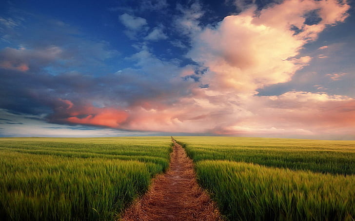 A Road To Somewhere, meadow, grass, beautiful, sunset, field, peaceful, road, colorful, splendor, clouds, beauty, landsca, HD wallpaper