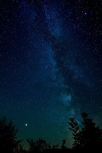 силуэт деревьев, звездное небо, ночь, звёзды, деревья, ночное небо, HD обои HD wallpaper