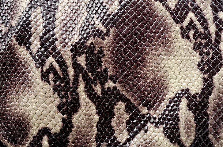braune und schwarze Schlangenhaut, Textur, Färbung, tierische Textur, Schlangenhaut, HD-Hintergrundbild