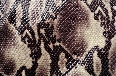 kulit ular coklat dan hitam, tekstur, pewarnaan, tekstur hewan, kulit ular, Wallpaper HD HD wallpaper