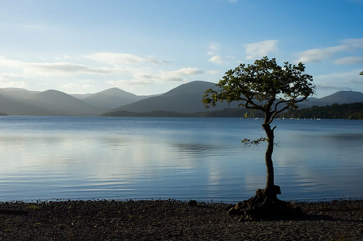 black tree beside body of water during daytime under cloudy sky, loch lomond, loch lomond, Loch Lomond, hike, black, tree, body of water, daytime, cloudy, sky, filter, none, camp, trail, woodland, silhouette, beach, hills, lake, nature, mountain, landscape, water, scenics, HD wallpaper