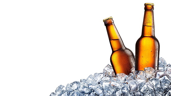 bière, bouteille, alcoolique, boisson, froide, rafraîchissante, glace, boisson, Fond d'écran HD HD wallpaper
