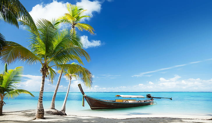 коричневая лодка, пейзаж, тропический, пляж, пальмы, HD обои