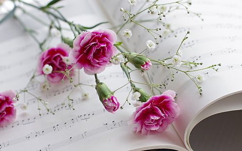 Carnations, flowers, book, musical scores, Carnations, Flowers, Book, Musical, HD wallpaper HD wallpaper
