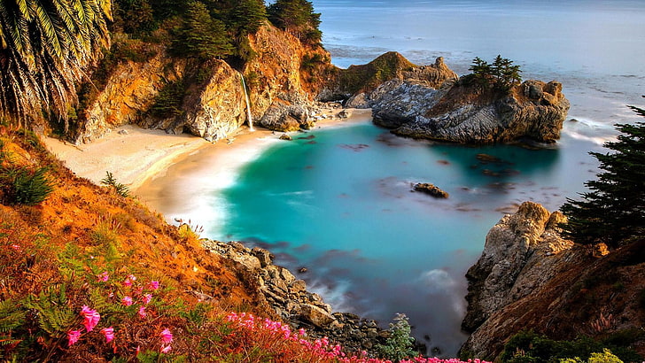 fleurs roses, photographie grand angle d'une étendue d'eau entourée de formations rocheuses, Californie, automne, McWay, océan Pacifique, Fond d'écran HD