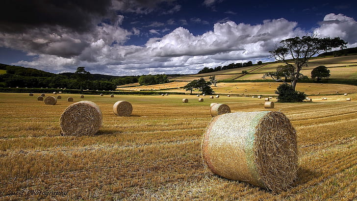Summer, farm field, hay, clouds, Summer, Farm, Field, Hay, Clouds, HD wallpaper