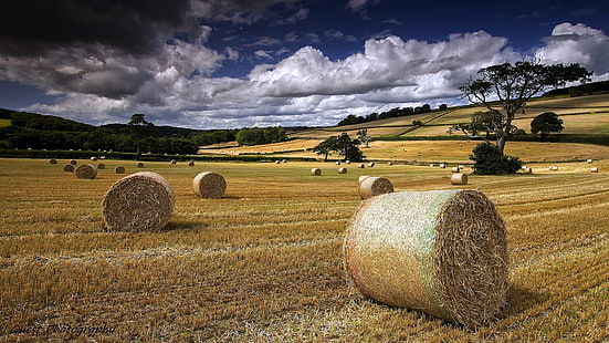 Summer, farm field, hay, clouds, Summer, Farm, Field, Hay, Clouds, HD wallpaper HD wallpaper