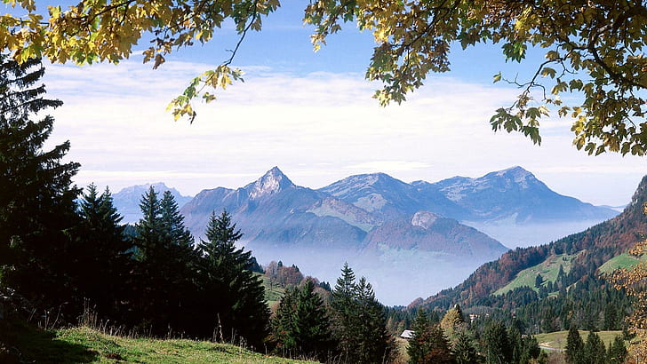 美しい渓谷の風景、青い山、森、渓谷、霧、山、自然、風景、 HDデスクトップの壁紙