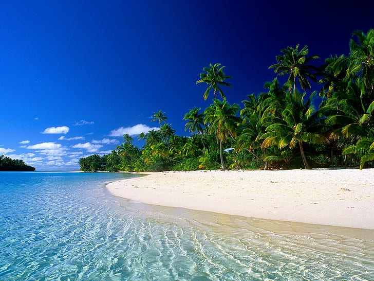 France, Polynésie, plage de Tahiti, plage tropicale, Fond d'écran HD