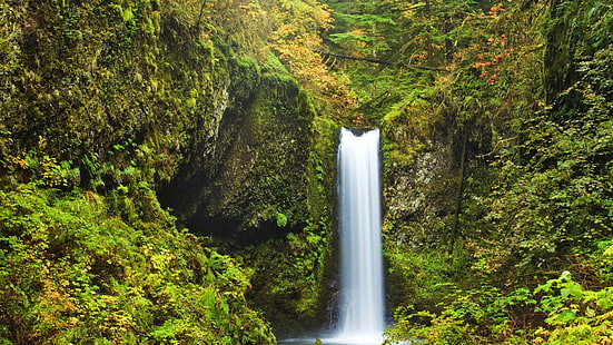 USA, Oregon, Multnomah falls, moss, shrubs, waterfall, USA, Oregon, Multnomah, Falls, Moss, Shrubs, Waterfall, HD wallpaper HD wallpaper