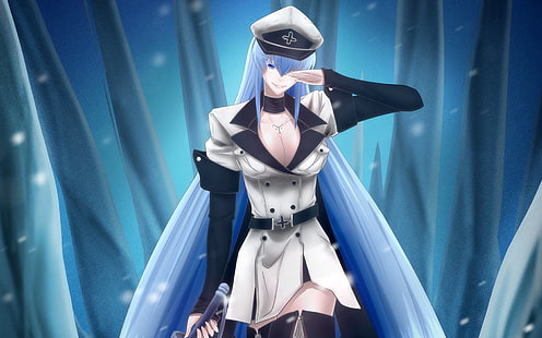 Fondo de pantalla digital de personaje de ficción femenino de pelo azul, Anime, Akame ga Kill !, Esdeath (Akame Ga Kill!), Fondo de pantalla HD HD wallpaper