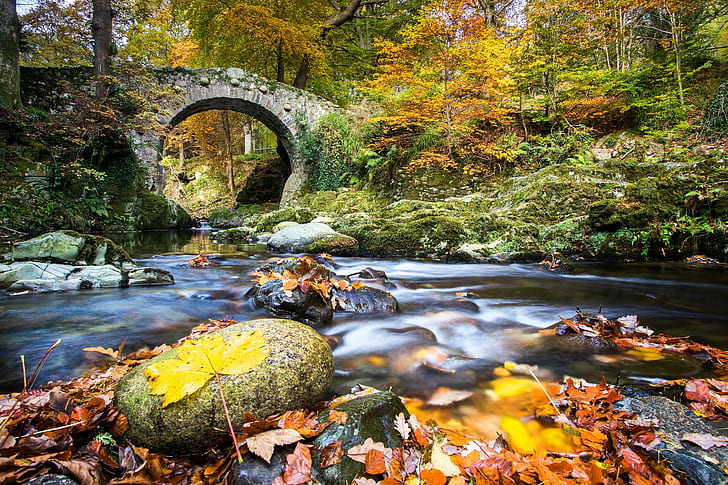 autumn, forest, leaves, bridge, river, Northern Ireland, River Shimna, Shimna River, Foley's Bridge, Park Forest Tolimar, Tollymore Forest Park, HD wallpaper