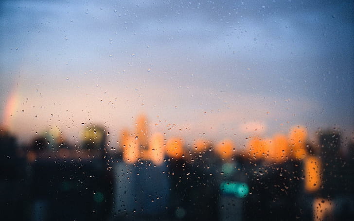 Cityscapes Rain Focus Window Panes HD 1080p, water rosa, drops, 1080p, cityscapes, focus, szyby, deszcz, okno, Tapety HD