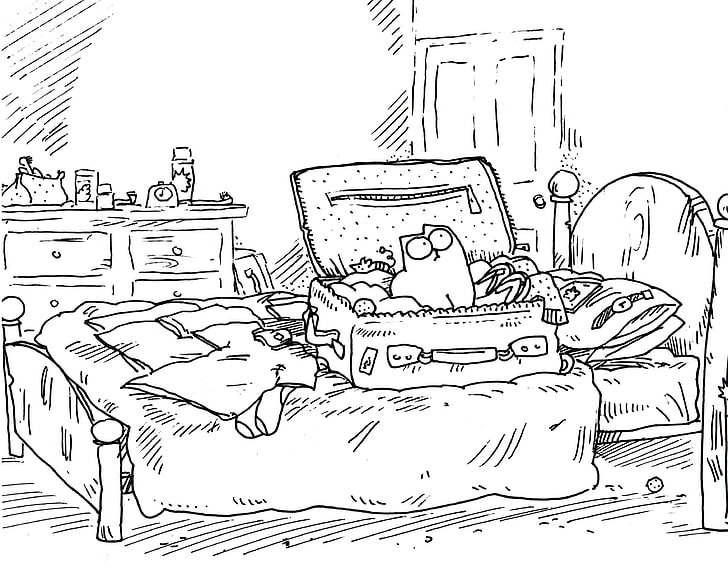 bed illustration, cat, room, figure, watch, bed, humor, ball, the door, pillow, socks, suitcase, the trick, chest, trip, pencil, Simon, training, fees, deodorant, t-shirt, HD wallpaper