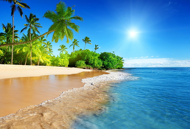 carta da parati fronte mare, spiaggia, palme, sabbia, mare, isola, tropicale, Sfondo HD