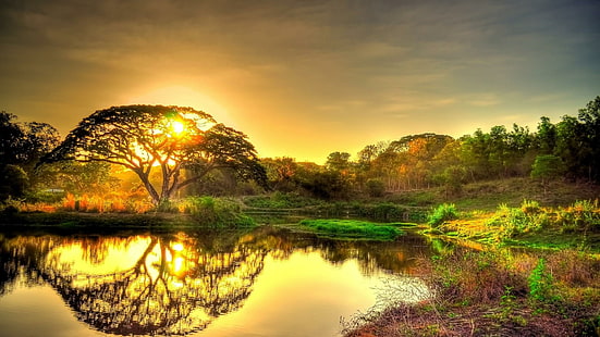 природа, банк, вода, солнечный свет, рассвет, утро, отражение, красивый, отражение, восход солнца, потрясающий, солнце, небо, зеленый, озеро, пейзаж, дерево, пруд, HD обои HD wallpaper