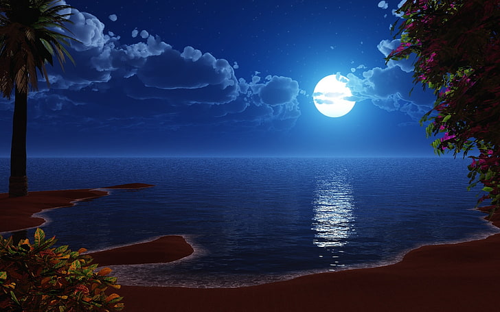 ภาพประกอบพระจันทร์เต็มดวง, ทะเล, ดวงจันทร์, ชายฝั่ง, การวาดภาพ, วอลล์เปเปอร์ HD
