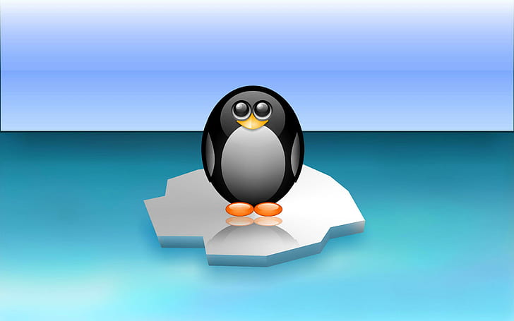 penguin, es terapung, minimalis, antartika, laut, penguin, es terapung, minimalis, antartika, Wallpaper HD